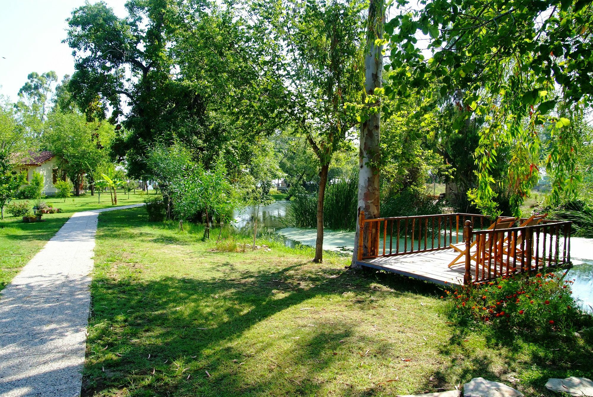 Yonca Lodge เฟทิเย ภายนอก รูปภาพ