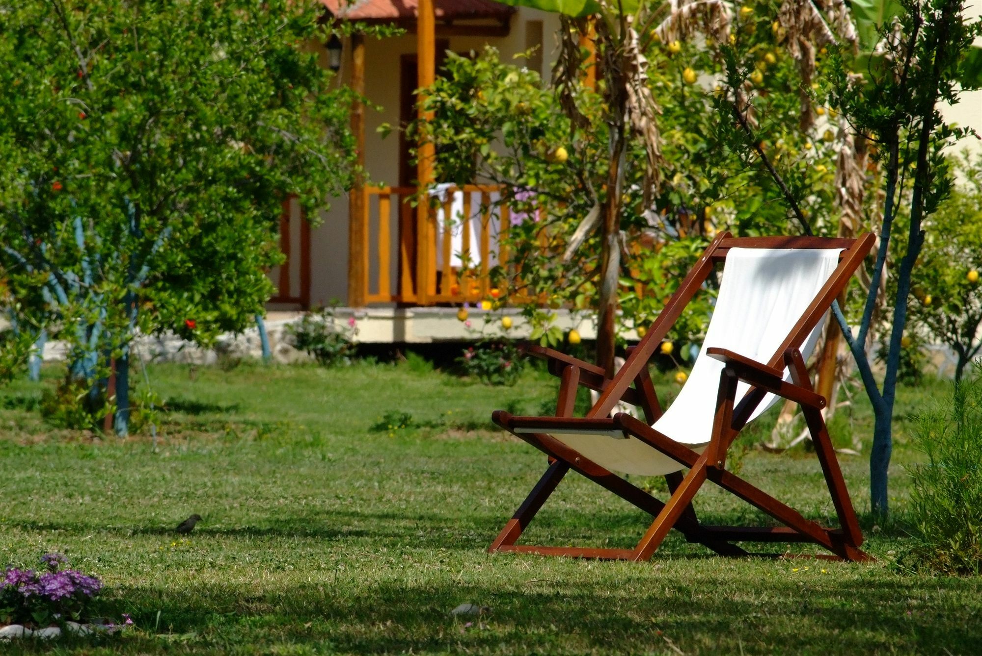 Yonca Lodge เฟทิเย ภายนอก รูปภาพ